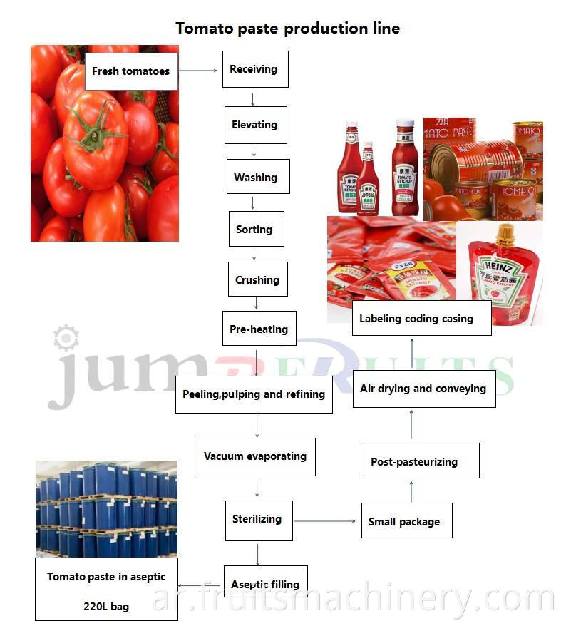 Automatic tomato ketchup making machine for food processing plant